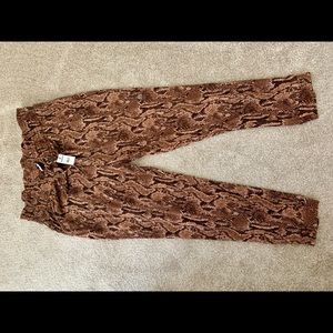 Express Brown Snakeskin Joggers